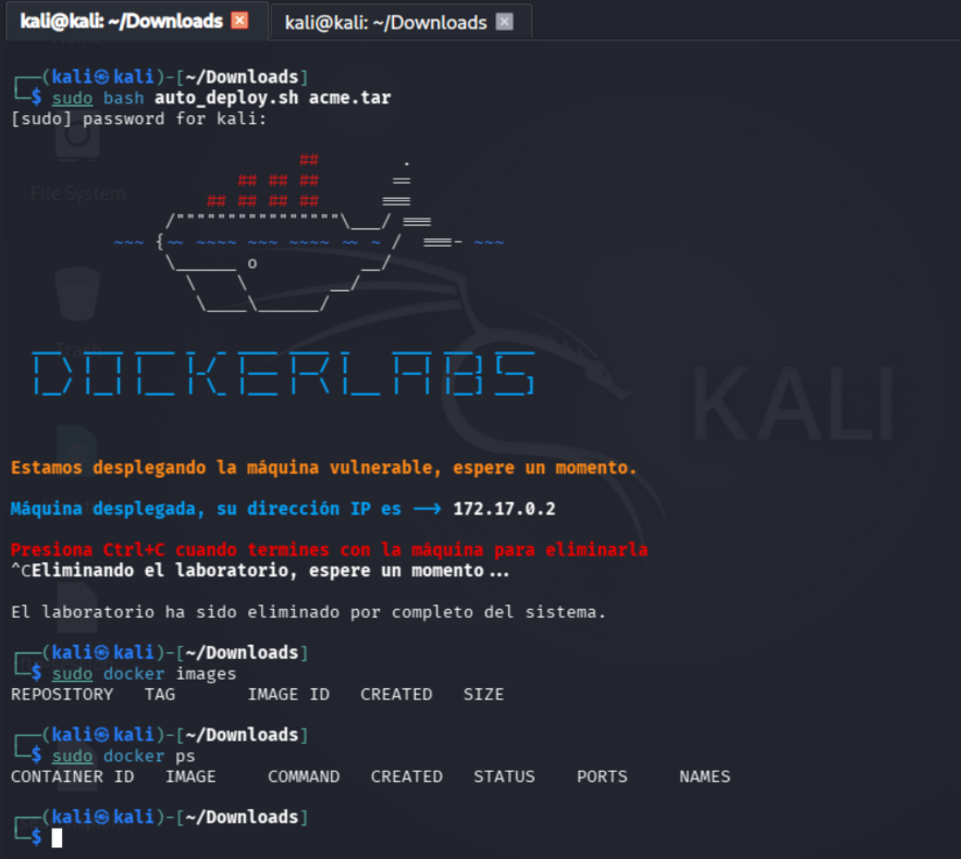 Verificación del entorno Docker